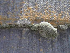 宇都宮市 リフォーム　玄関